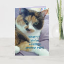 Recherche de adoption chat vœux cartes Délivrance animale
