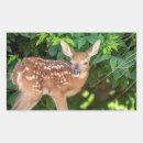 Recherche de cerf virginie autocollants Nature