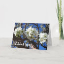 Search for pear tree cards Nature
