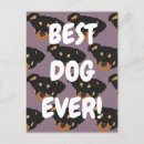 Search for rottweilers Cute