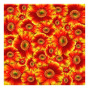 Recherche de gerbera art Marguerie