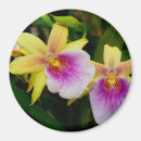Recherche de producteurs magnets Jardinier