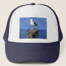 Search for seagull hats Ocean