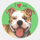Search for pit bull terrier stickers Apbt