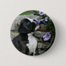 Recherche de boxeurs de badges Brindle