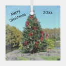 Search for alligator ornaments Animal