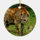 Search for laugh ornaments Animals