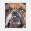 Search for english bulldog blankets Animals
