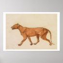 Search for removed art Fine