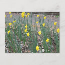 Search for roadside Yellow