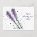 Recherche de prairie cartes postales Aquarelle