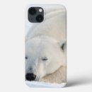 Search for wildlife ipad cases Arctic