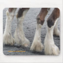 Recherche de belge tapis souris Cheval de trait