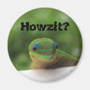 Recherche de gecko magnete Faune