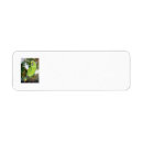 Search for parrot return address labels Green