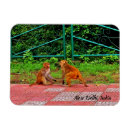 Search for delhi magnets Souvenir