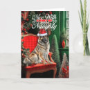 Search for belgian christmas cards Pets