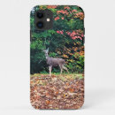 Search for nature trail iphone cases Forest