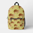 Search for cute tortoise Brown
