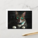 Search for grey hair postcards Cute