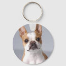 Search for little brown keychains Dog