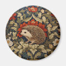 Search for hedgehog magnets Antique