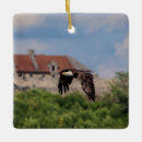 Search for bald eagle ornaments Birds of prey