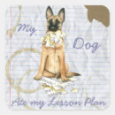 Recherche de malinois autocollants Chiot