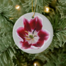 Search for transparent ornaments Red