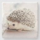 Search for hedgehog gifts Adorable