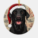Search for lab ornaments Xmas
