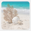 Recherche de oursin autocollants Plage