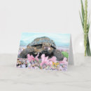 Search for terrapins cards Wildlife