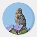 Recherche de chanteur magnets Jardin