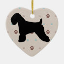 Search for wheaten terrier ornaments Dog