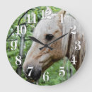 Recherche de palomino posters Amateurs de chevaux