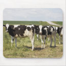 Search for dairy farm mousepads Outdoors