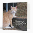 Search for tabby binders Ginger cat
