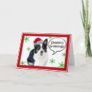 Search for aussie holiday cards Shepherd