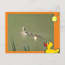 Recherche de bel oiseau cartes postales Pour tous