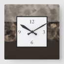 Recherche de taupes horloges Neutre