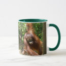 Search for ape mugs Orangutan