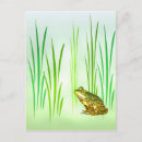 Search for froggie postcards Water