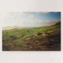 Recherche de ireland Photographie