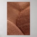 Recherche de fossiles posters Orange