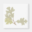 Search for oak leaf magnets Orange