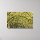 Search for savannah canvas prints Joanne wells