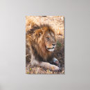 Search for kenya canvas prints Danita delimont