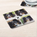 Search for photo coasters Pet