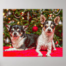 Search for christmas tree lights posters Animal